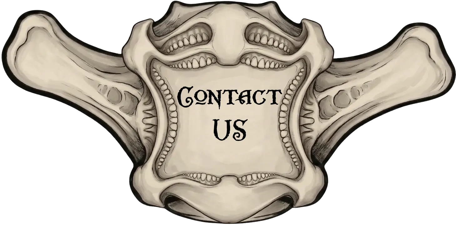 Contact Us